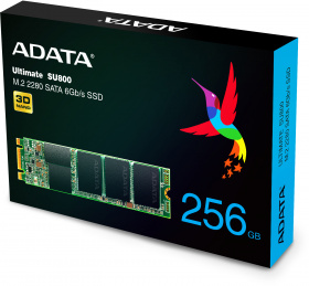 Твердотельный накопитель ADATA. ADATA 256GB SSD SU800 M.2 2280 SATA 6Gb/s R/W 560/520 MB/s 3D TLC
