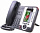 SIP-телефон Escene DS622-PE Dual-model IP Phone 190