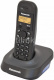 Радиотелефон DECT Panasonic KX-TG1401RUH